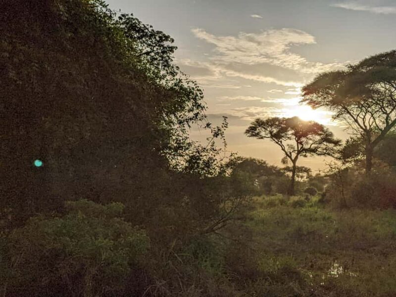 Arusha: Mount Meru Day Hike with Ranger and Lunch - What to Expect from the Mount Meru Day Hike