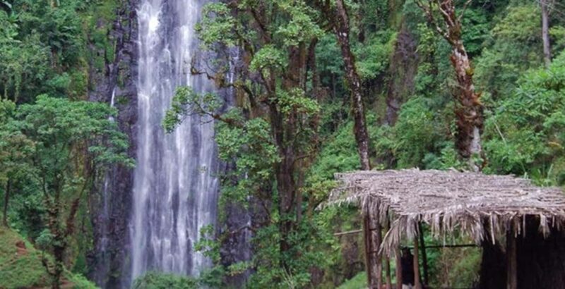 Arusha: Mount Meru Waterfall Day Trip with Lunch - The Bottom Line: Who Is This Tour Best For?