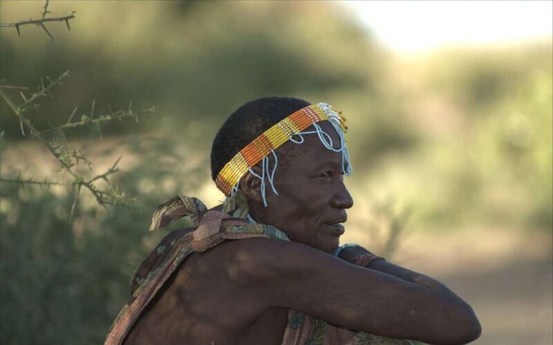 Arusha: Mto wa Mbu, Hadzabe, and Datoga Tribes Day Trip - Who Should Consider This Tour?