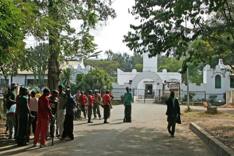 Arusha: Museum of Natural History Guided Tour - Key Points
