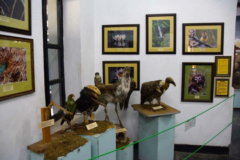 Arusha: Museum of Natural History Guided Tour - Final Thoughts