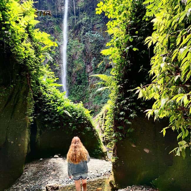 Arusha: Napuru Waterfall and Mount Meru Nature Walk - Key Points