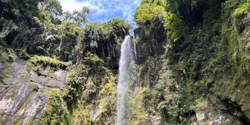 Arusha: Napuru Waterfall and Mount Meru Nature Walk - Mount Meru Nature Sanctuary — The Birdwatchers Dream