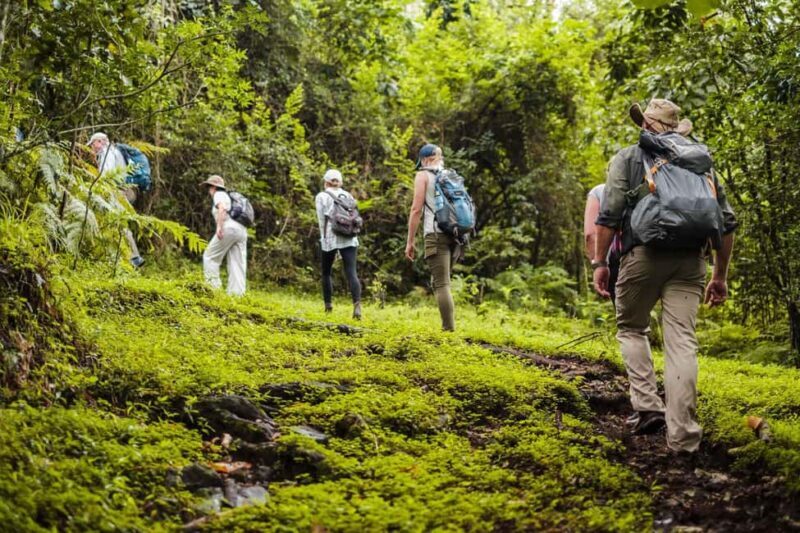 Arusha: National Park Day Trip with Walking Tour - An In-Depth Look at the Tour Experience
