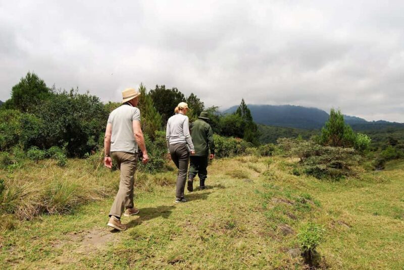 Arusha: National Park Day Trip with Walking Tour - Who Will Love This Tour?