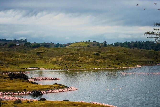 Arusha National Park Guided Day Tour from Arusha - FAQ