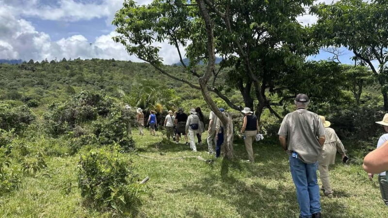 Arusha: National Park Guided Tour with Game Drive & Lunch - Key Points