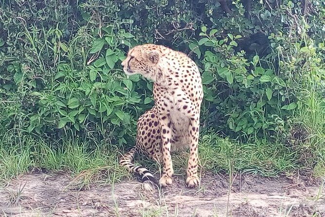 Arusha National Park Half Day Tour - Who Will Love This Tour?