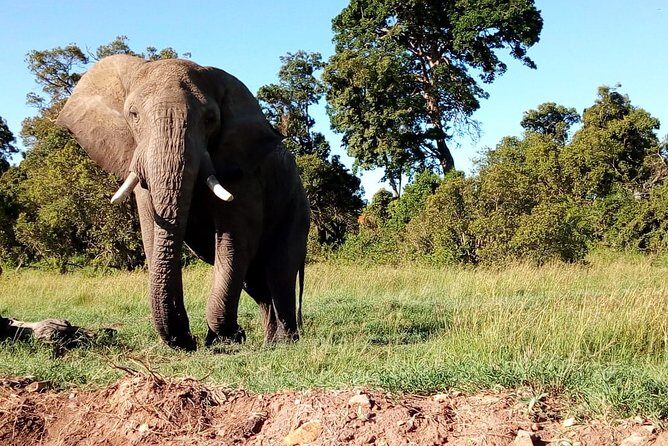 Arusha National Park Half Day Tour - Final Thoughts