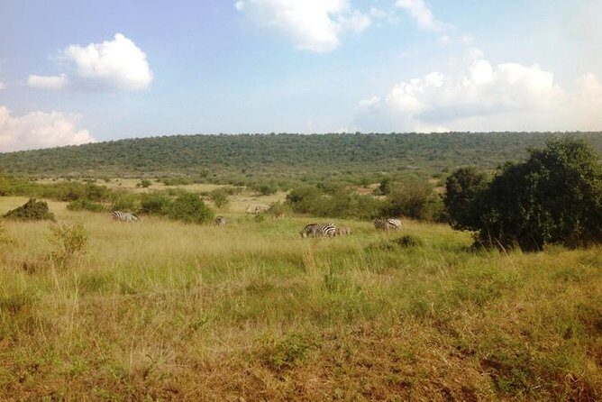 Arusha National Park Safari by Jeep - FAQ