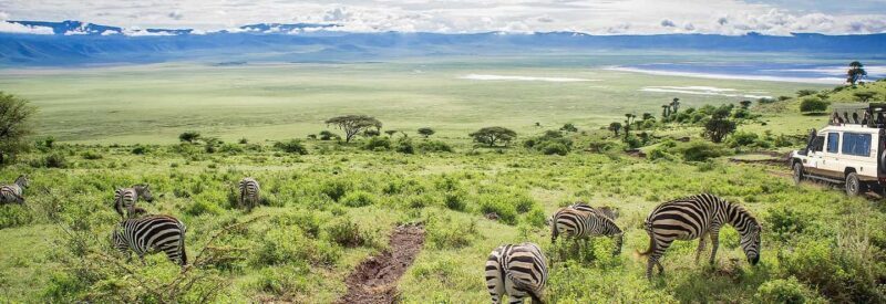Arusha: Ngorongoro Crater Day Trip with Game Drive - Ascending Out and Returning to Arusha