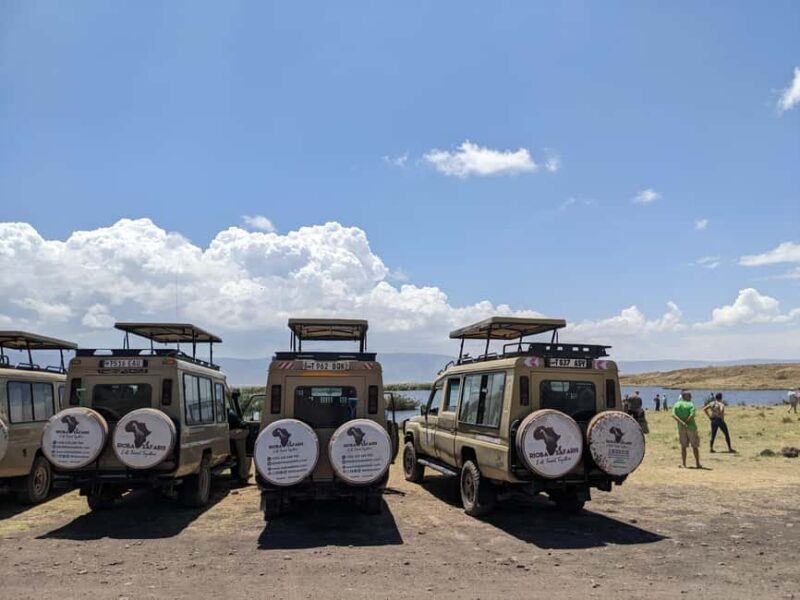 Arusha: Ngorongoro Crater Day Trip with Game Drive - Key Points