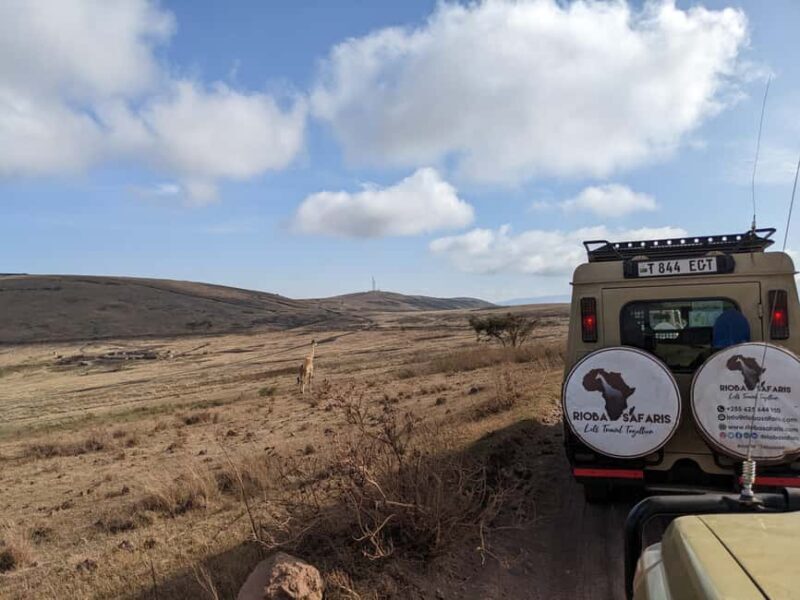 Arusha: Ngorongoro Crater Day Trip with Game Drive - Final Thoughts