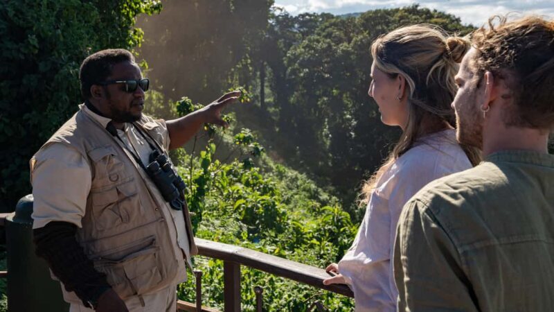 Arusha: Ngorongoro Crater Safari Day Trip with transfer,meal - Why This Tour Is a Great Choice