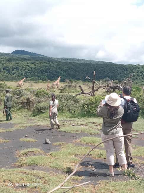 Arusha Park Memorable Safari Tour - An In-Depth Look at the Tour Experience