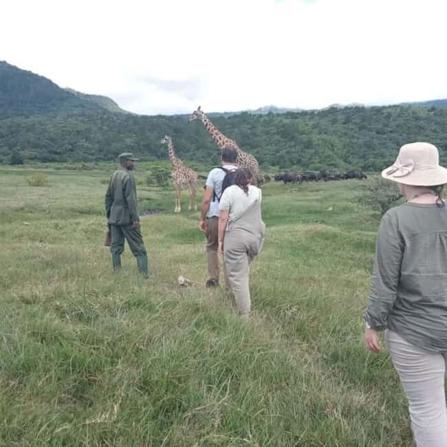Arusha Park Memorable Safari Tour - The Sum Up