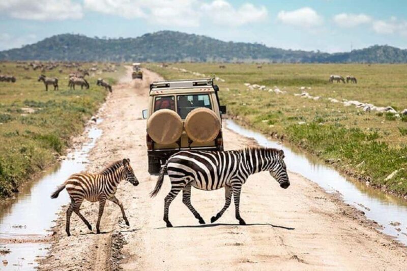 Arusha: Serengeti and Ngorongoro Multi-Day Camping Safari - Key Points