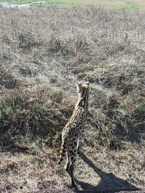 Arusha: Serval Wildlife Sanctuary Day Trip with Lunch - Warm Welcome and Orientation