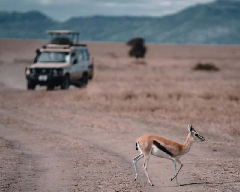 Arusha: Tarangire, Serengeti & Crater 4-Day Luxury Safari - FAQ