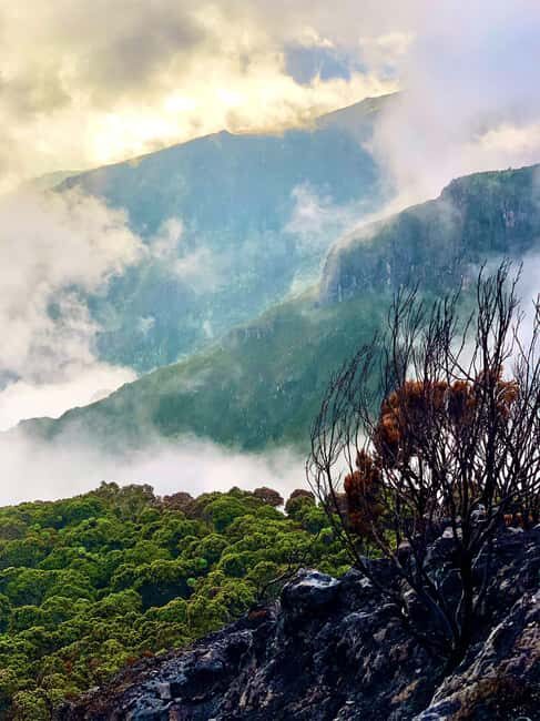 Arusha: Walking Safari in Arusha National Park - The Hidden Waterfall: A Delightful Surprise