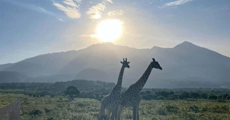 Arusha: Walking Safari in Arusha National Park - What to Bring