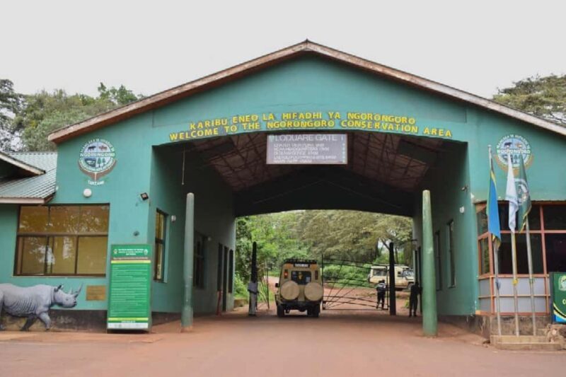 Arusha;Group Tour (The World Heritage Site)Ngorongoro Crater - Overall Value and Who It’s Best For