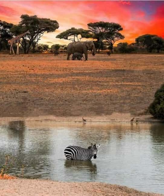 Arusha;Group Tour (The World Heritage Site)Ngorongoro Crater - FAQs