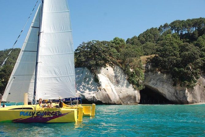 Arvo of goodness Chilled out Sail (3.5hrs) - Authentic Feedback From Travelers