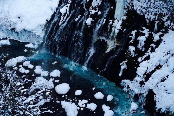 Asahiyama Zoo, Blue Pond, Shirahige Falls, Ningle Terrace (from Sapporo) - An In-Depth Look at the Itinerary