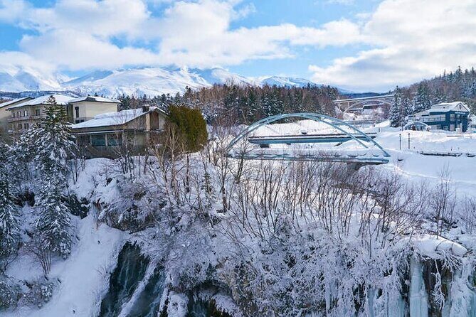 Asahiyama Zoo, Christmas Tree, Fairy Terrace Day Tour | Hokkaido - Scenic Biei: Christmas Tree, Shirahige Falls & Blue Pond