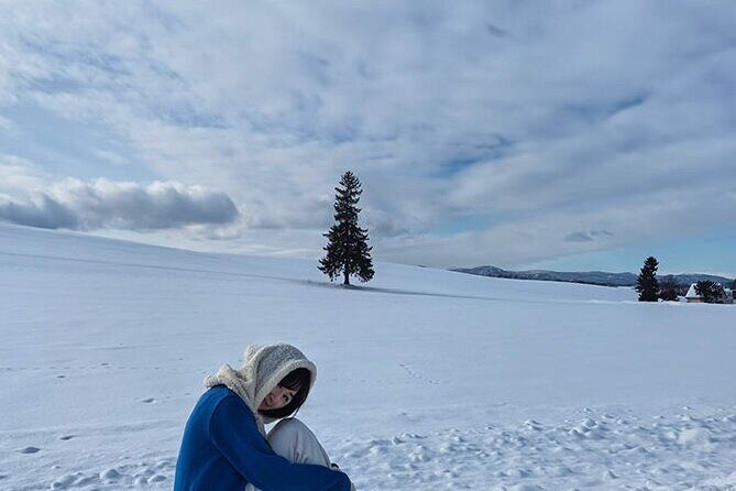 Asahiyama Zoo, Christmas Tree, Fairy Terrace Day Tour | Hokkaido - Practical Tips & Considerations