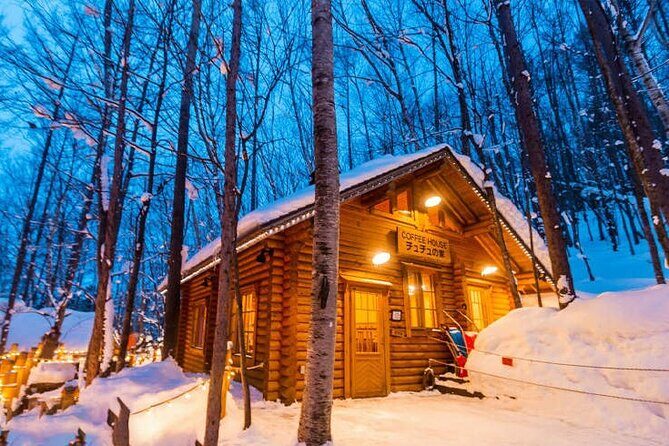 Asahiyama Zoo, Christmas Tree, Fairy Terrace Day Tour | Hokkaido - Authentic Traveler Feedback