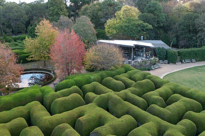 Ashcombe Maze & Lavender Gardens - An In-Depth Look at Ashcombe Maze & Lavender Gardens