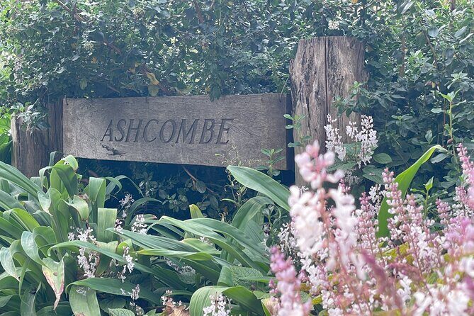 Ashcombe Maze & Lavender Gardens - The Sum Up: A Garden Adventure Worth Visiting