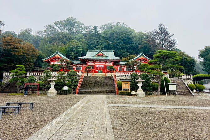 Ashikaga Flowers Park Pvt. One Day Tour with Pickup - What You Can Expect from the Ashikaga Flowers Park Private Tour
