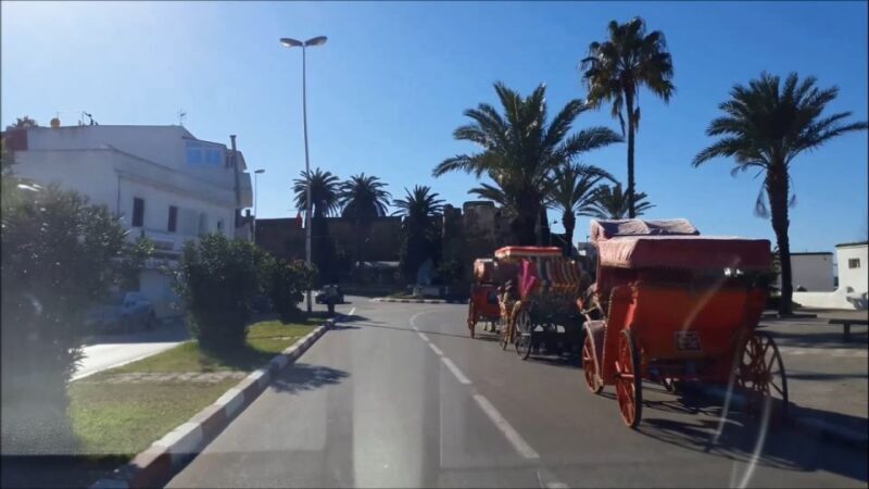 Asilah: Private Shore Excursion From Tangier - Key Points