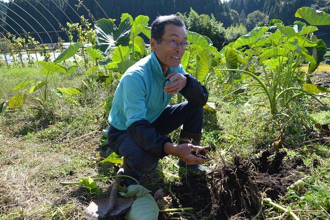 Aso Cycling and Farming Private Tour - Concluding at Kiyora-casa Farmers Market