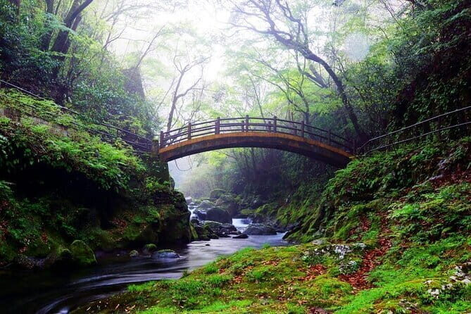 Aso Vocano, Grassland,Onsen and Aso shrine 1-Day Tour - Why This Tour Offers Great Value