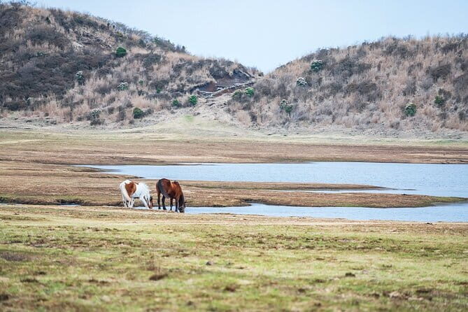 Aso Vocano, Grassland,Onsen and Aso shrine 1-Day Tour - Final Thoughts: Is This Tour Worth It?