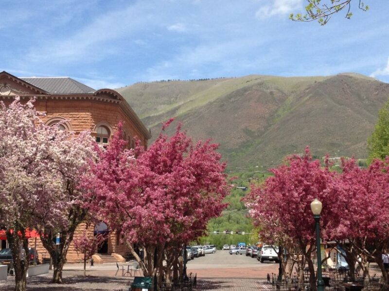 Aspen: From Past to Present History Walking Tour - What to Expect on the Tour