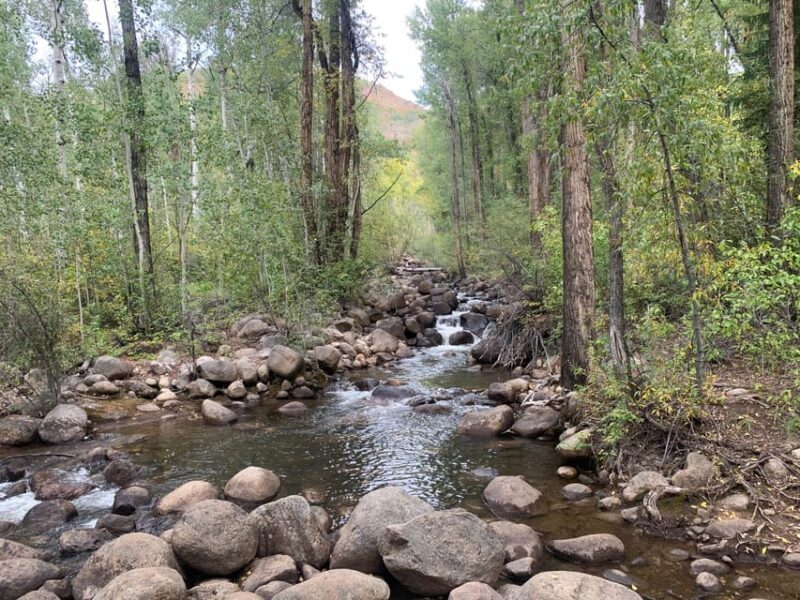 Aspen: Guided Light Hike with Roaring Fork River Views - A Detailed Look at the Experience
