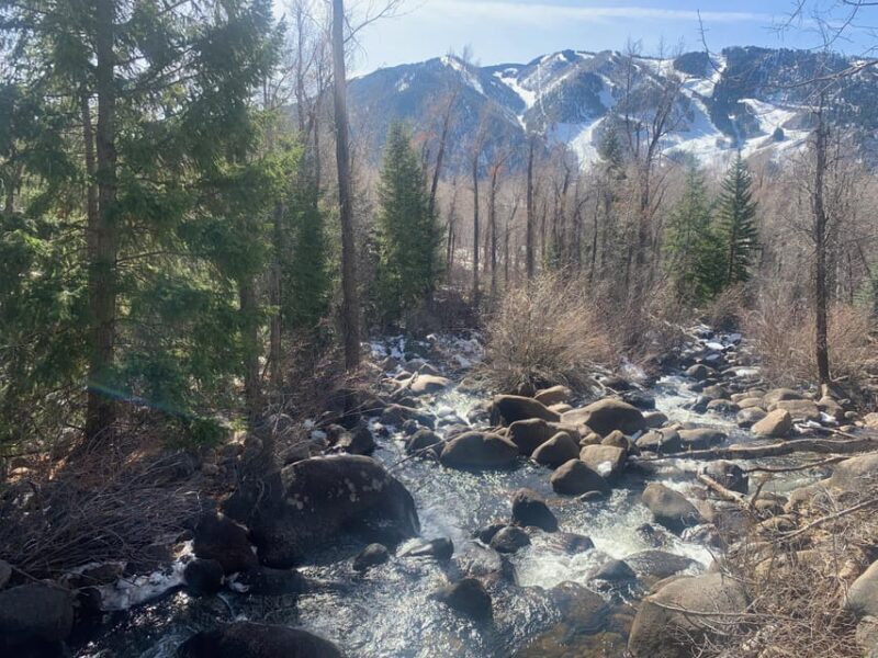 Aspen: Guided Light Hike with Roaring Fork River Views - Authentic Experiences and What Travelers Say