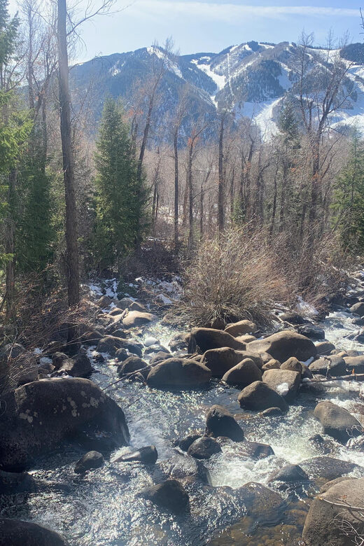 Aspen: Guided Light Hike with Roaring Fork River Views - The Sum Up