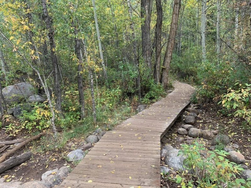 Aspen: Guided Light Hike with Roaring Fork River Views - FAQ