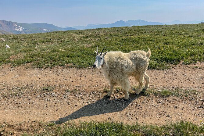 Aspen via Independence Pass Private Colorado Adventure Tour - The Value: Is This Tour Worth It?