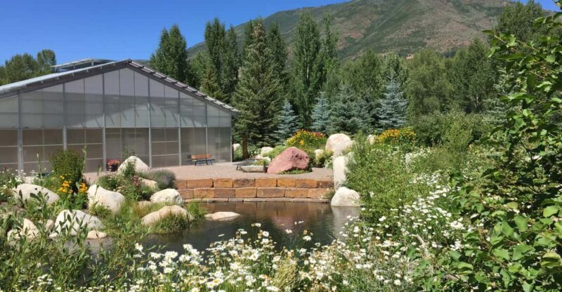 Aspen's Off the Beaten Path Scenic Walking Tour - An In-Depth Look at the Experience
