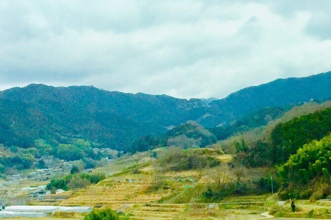 Asuka Private Full-Day Guided Tour from Kashihara - Who Is This Tour Best For?