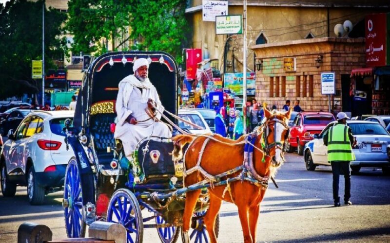 Aswan: Private Horse & Carriage City Tour with Hotel Pickup - Exploring Aswan by Horse and Carriage: A Genuine Local Experience