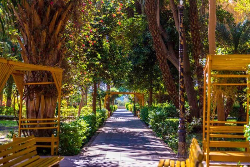 Aswan: Private Nile Boat Cruise and Botanical Garden Visit - FAQ