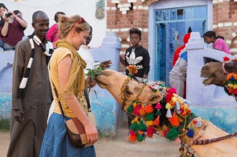 Aswan: Private Tour to Soheil Island and Nubian Village - What makes this experience special